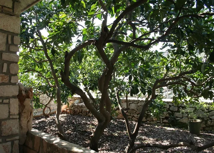 Seaside House Lumbarda, Korcula - 4444 בית נופש *
