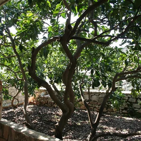 Seaside House Lumbarda, Korcula - 4444 펜션 *